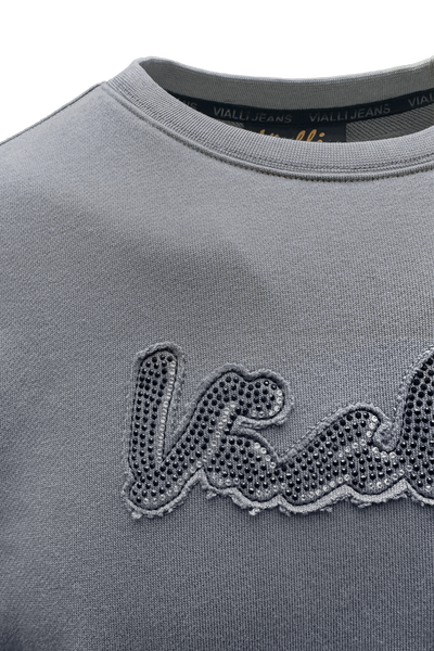College Sweatshirt*