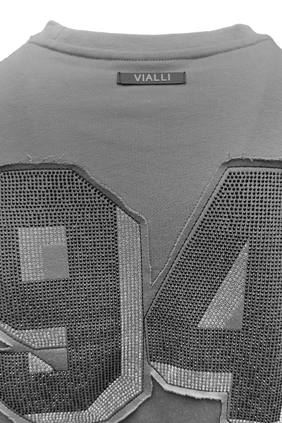 College Sweatshirt*